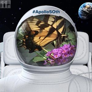 Meet your Posher, Gloria